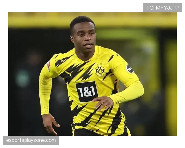 德甲引入新型球员追踪传感器，用于实时监测负荷并预防伤病