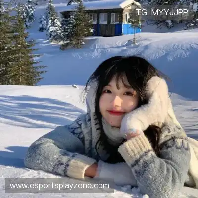于葵辰